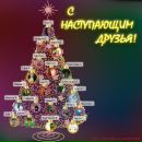 Фотография Синцовой Полины