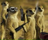 Фотография Солдатова Ильи