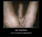 Дмитрий Бирюков фотография #13 (источник - https://vk.com/id67059265)