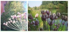 Фотография Григорьевой Ольги