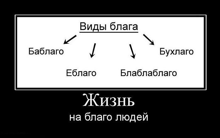 Дима Сыч фотография #45