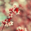 Юрій Гнатенко фотография #41 (источник - https://vk.com/id157707344)