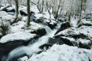 Николай Сергеев фотография #29 (источник - https://vk.com/id2744479)