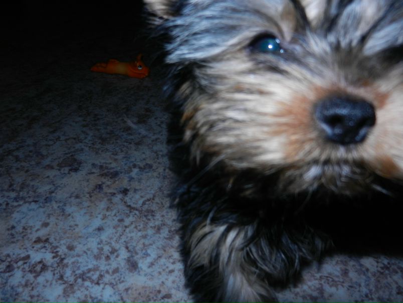 №8, Александр Еремеев, 36 лет, Москва №8, Александр Еремеев, 36 лет, Москва