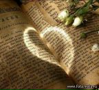 Фотография Сафоновой Натальи