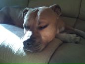 Фотография Эрнестовича Артура