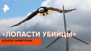 «Наука и техника»: вред от ветрогенераторов